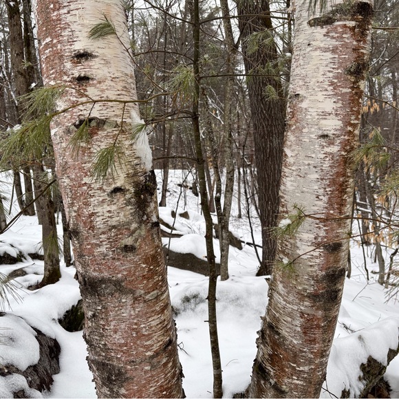 About missing tags.......... - Picture 7 of 8